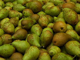 Peras - Pears